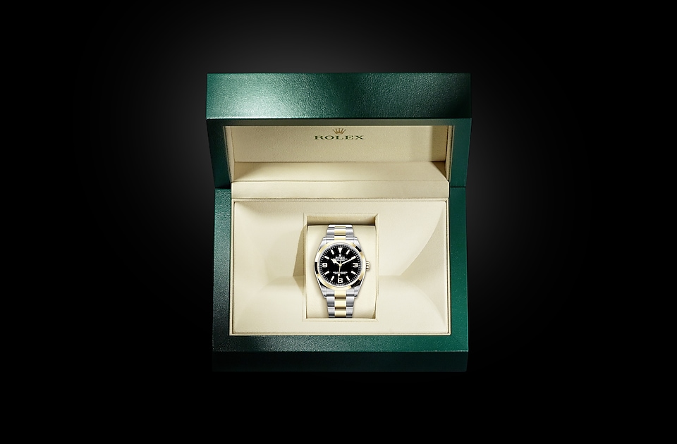 Confronto tra Rolex Explorer e Tudor Ranger