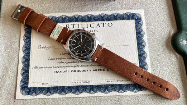 Omega Seamaster Chronostop - immagine 6